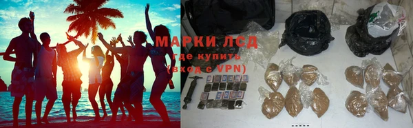 мяу мяу мука Арсеньев
