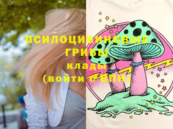 мяу мяу мука Арсеньев