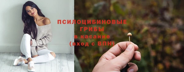 мяу мяу мука Арсеньев
