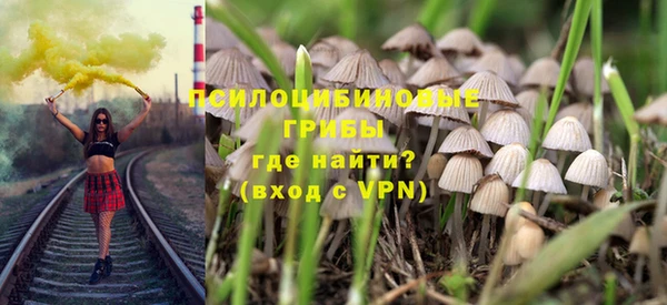 мяу мяу мука Арсеньев