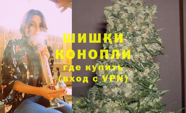 ALPHA PVP Костерёво